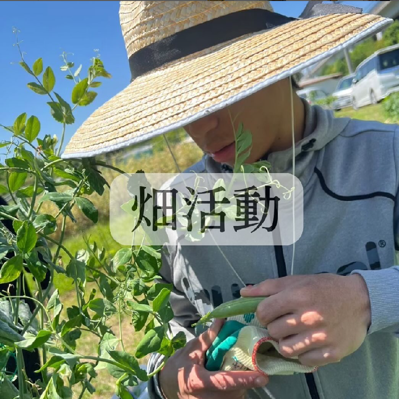 nijinosora_hatakekatudo.png